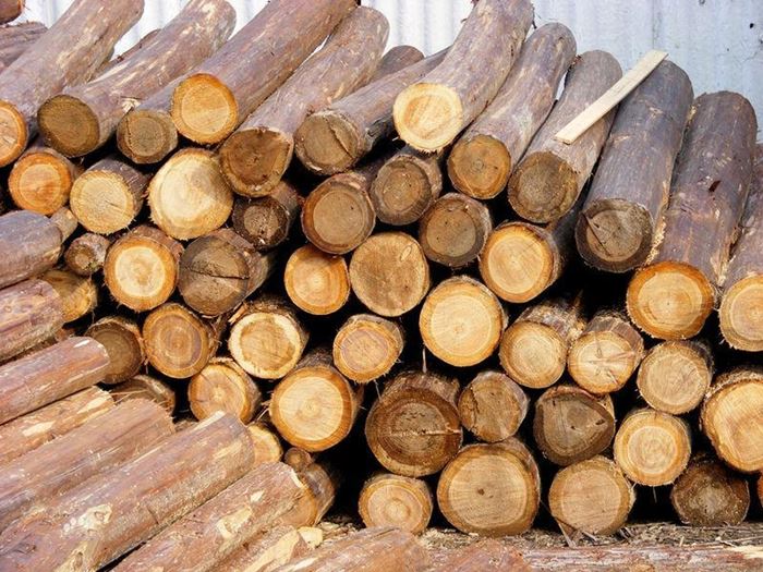 001. Furniture factories widely use metal materials to replace timber 001. Furniture factories widely use metal materials to replace timber